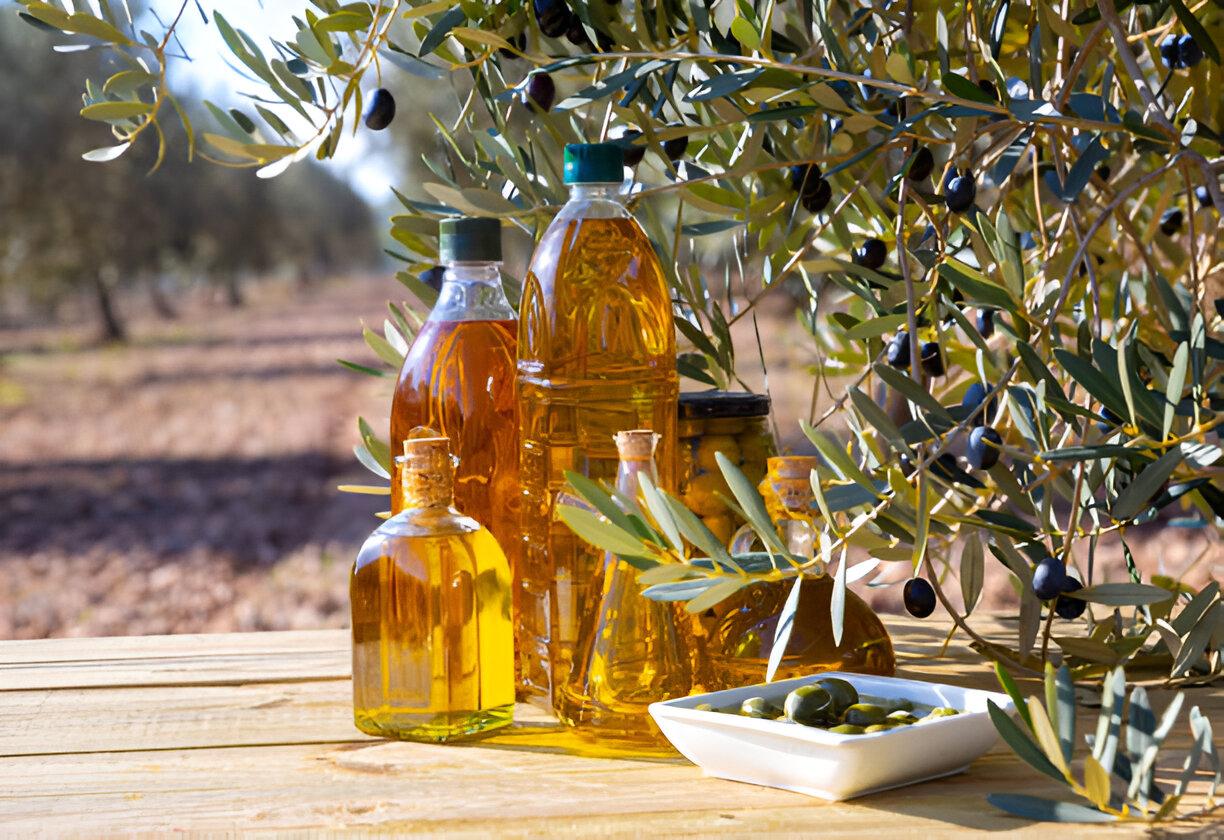 Kangaroo Olive Oil bottles displayed among olive trees in our Torrumbarry orchard