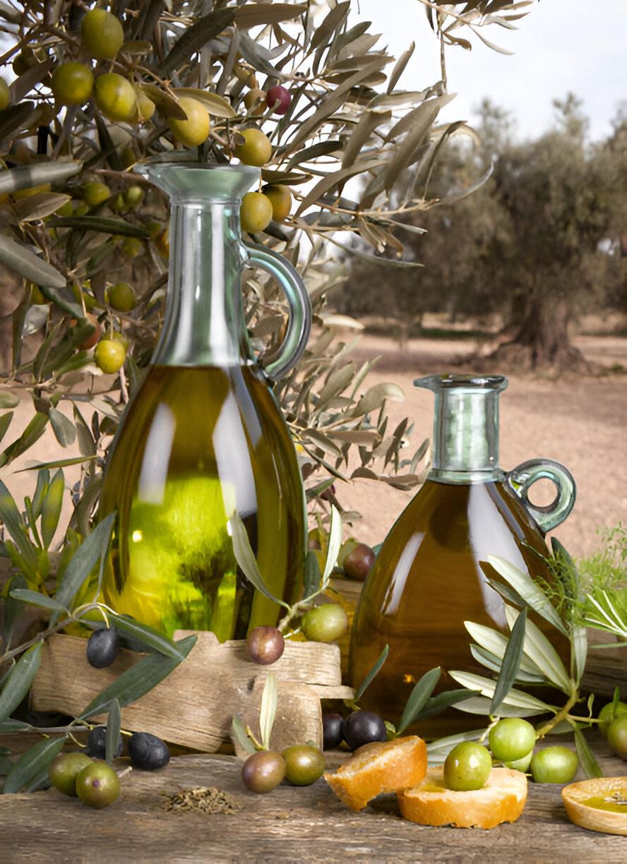 Scenic view of our olive orchards in Torrumbarry, Victoria